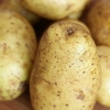 Cucinare le patate