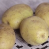Conservare le patate