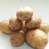Congelare le patate