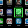 Elimina tutti i media su whatsapp