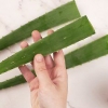 Mangia l'aloe vera