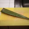 Preparare il succo di aloe vera