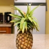 Preparare il succo di ananas