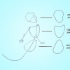 Disegnando ariele