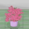 Potatura delle azalee