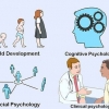 Acquisire conoscenze di base di psicologia