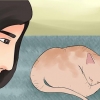 Determinare se il tuo gatto è morto