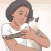 Decidere se un gatto siamese è giusto per te