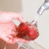 Barbabietole da conserve