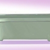 Crescere fiori dai semi