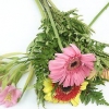 Disposizione dei fiori