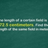 Converti centimetri in metri