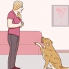 Comunicare con il tuo cane