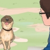Comunica con i tuoi animali domestici