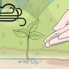 Usando il fertilizzante urea