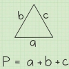 Calcolo del perimetro di un triangolo
