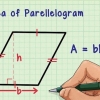 Calcola l'area di un triangolo isoscele