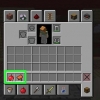 Addomesticare animali in minecraft