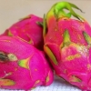 Mangiare il frutto del drago (pitaya)