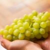 Mantenere l'uva fresca
