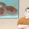 Prevenire un attacco di serpente a sonagli