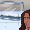 Fare un acquario