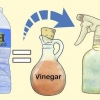 Preparare una miscela di aceto con cui pulire