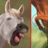 Creare un legame con il tuo cavallo attraverso l'equitazione naturale