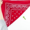 Come piegare una bandana