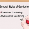 Progettare un giardino interno