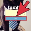 Elimina un blog su tumblr