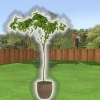 Pianta un albero