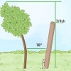 Crescere un albero in posizione verticale