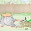 Bruciare un ceppo d'albero