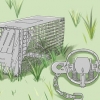 Cattura una marmotta