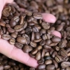 Usando una caffettiera