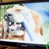 Pulizia dello schermo di un computer