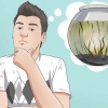 Creazione di un ecosistema acquatico chiuso