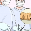 Come far smettere di mordere un cane