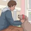 Portare a spasso un cane