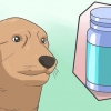 Anestetizza in sicurezza un cane
