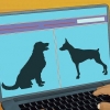 Adotta un cane guida