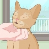 Accarezzare un gatto