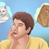 Adotta un gatto