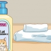 Fare il bagno a un gatto con danni minimi