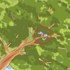 Far uscire un gatto da un albero