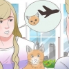 Trasporto di un gatto in aereo