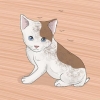Lavare un gattino