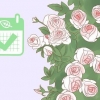 Pianta una rosa rampicante