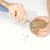 Aprire una noce di cocco